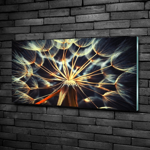 Bild auf glas Löwenzahn