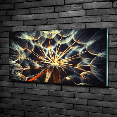 Bild auf glas Löwenzahn