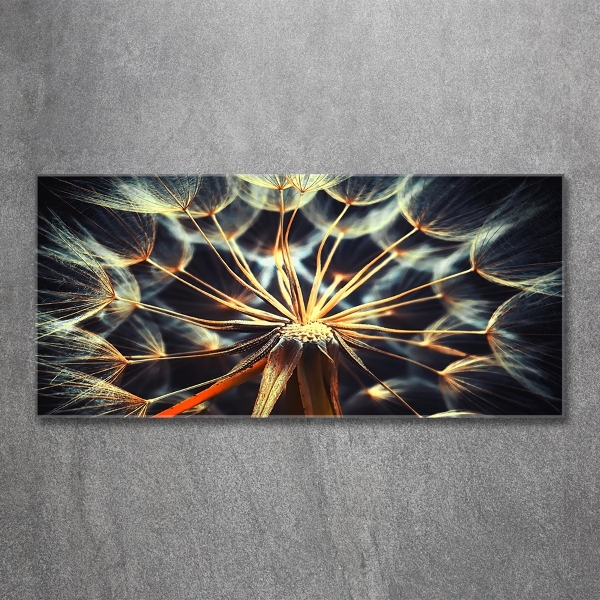 Bild auf glas Löwenzahn