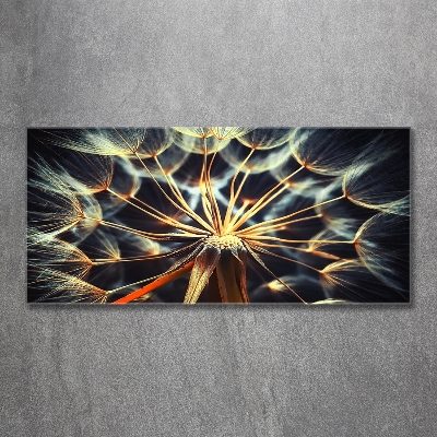 Bild auf glas Löwenzahn