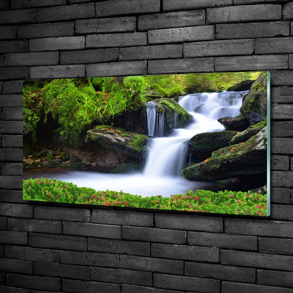 Glasbild Wasserfall im Wald