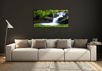 Glasbild Wasserfall im Wald