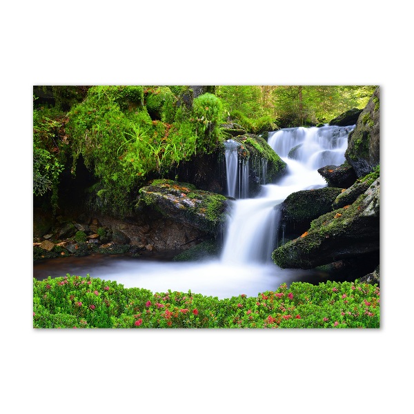 Glasbild Wasserfall im Wald