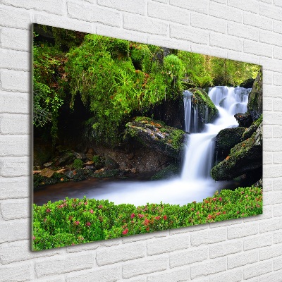 Glasbild Wasserfall im Wald