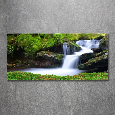 Glasbild Wasserfall im Wald