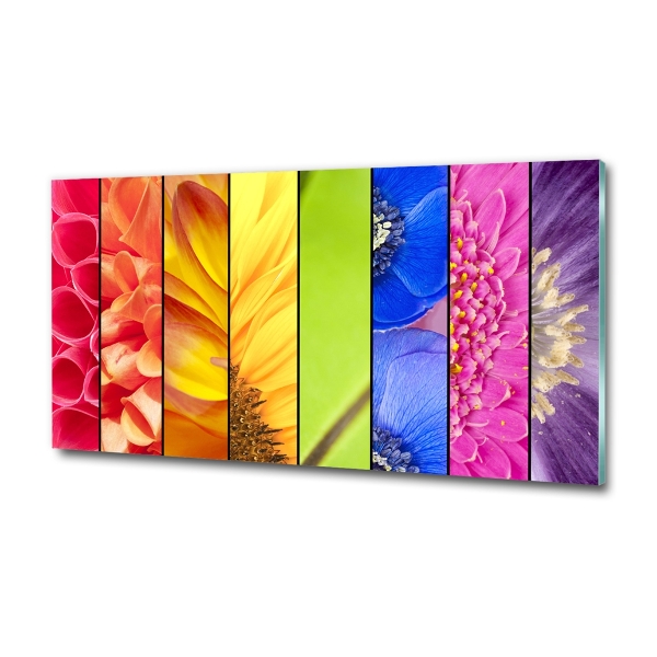 Bild auf glas Bunte Blumen