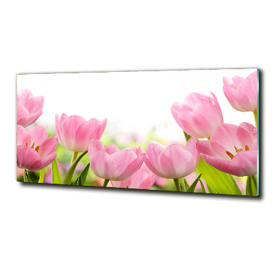 Glasbild Rosa Tulpen