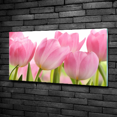 Foto glasbild Rosa Tulpen