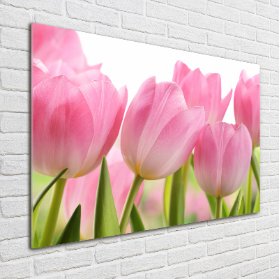 Foto glasbild Rosa Tulpen