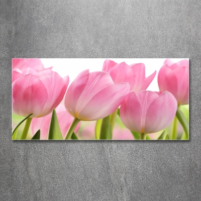 Foto glasbild Rosa Tulpen