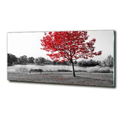 Bild auf glas Roter Baum