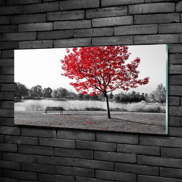 Bild auf glas Roter Baum