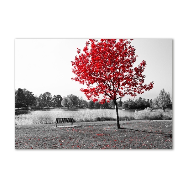 Bild auf glas Roter Baum