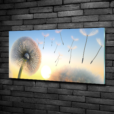 Bild auf glas Löwenzahn