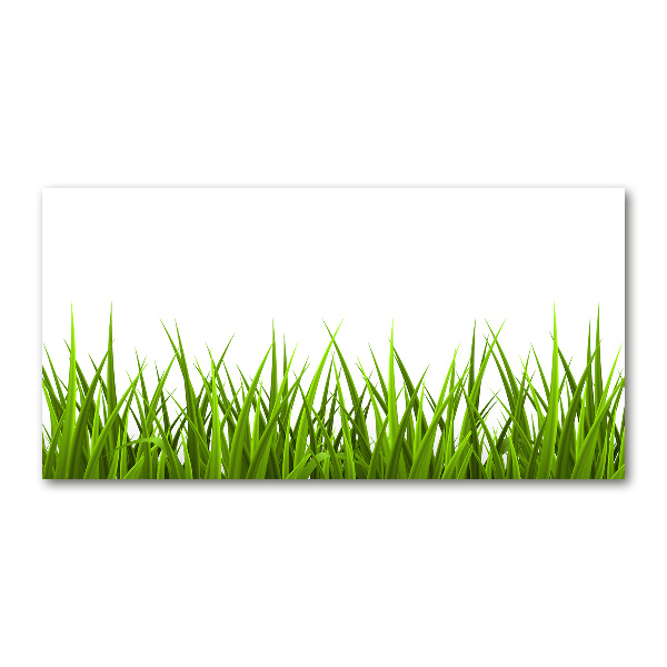 Bild auf glas Gras