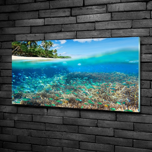 Bild auf glas Korallenriff