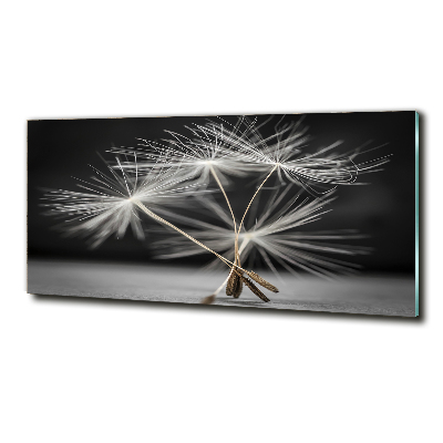 Bild auf glas Löwenzahnsamen