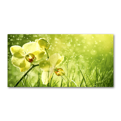 Foto glasbild Orchidee