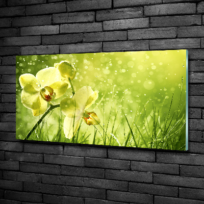 Foto glasbild Orchidee