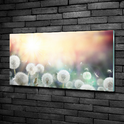 Glasbild Löwenzahnfeld