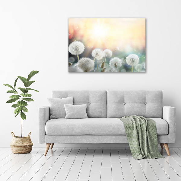 Glasbild Löwenzahnfeld