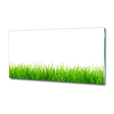 Bild auf glas Gras