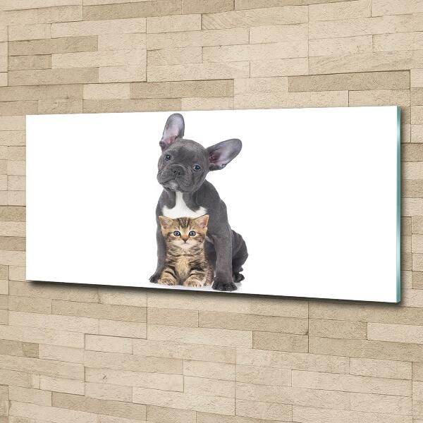 Glasbild Hund und Katze