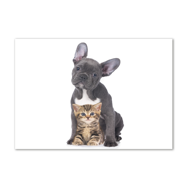 Glasbild Hund und Katze