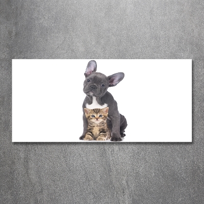Glasbild Hund und Katze
