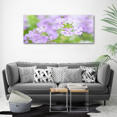 Bild auf glas Eisenkraut