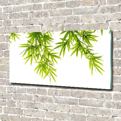 Glasbild Bambusblätter
