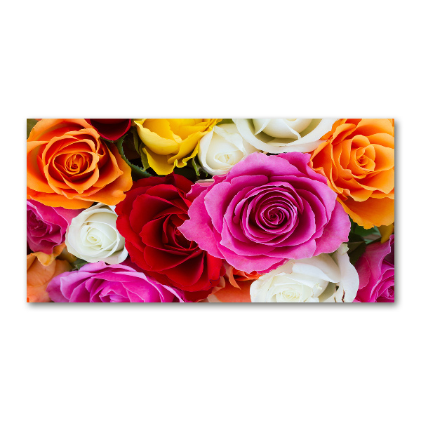Foto glasbild Bunte Rosen
