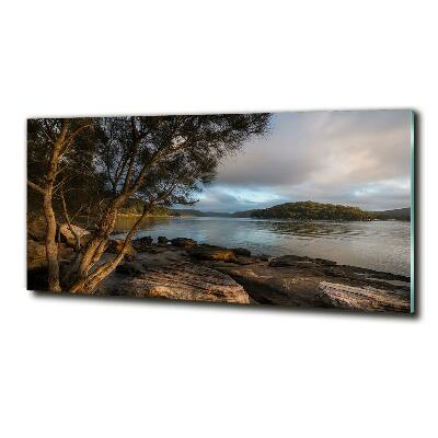 Foto glasbild Ein Baum am Fluss