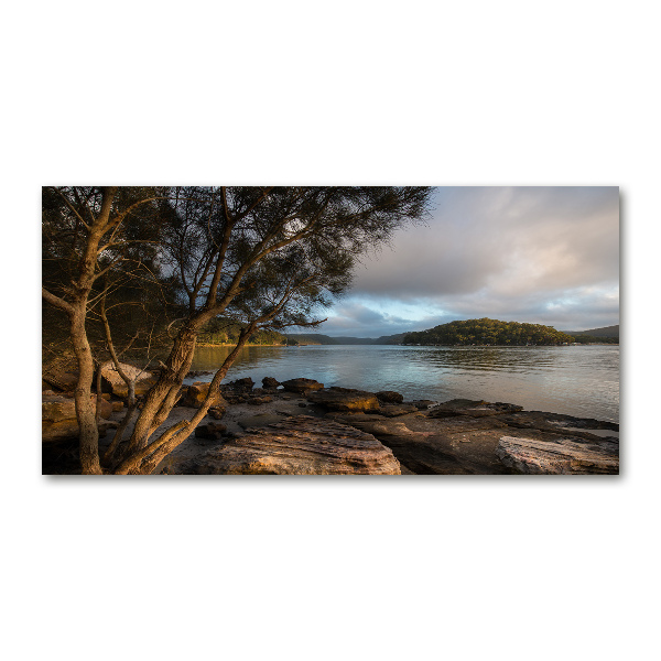 Foto glasbild Ein Baum am Fluss