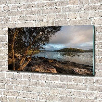 Foto glasbild Ein Baum am Fluss