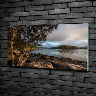 Foto glasbild Ein Baum am Fluss