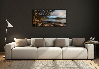 Foto glasbild Ein Baum am Fluss