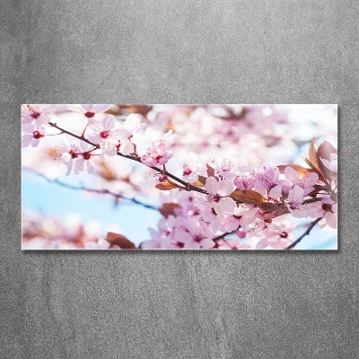 Foto glasbild Kirschblüten