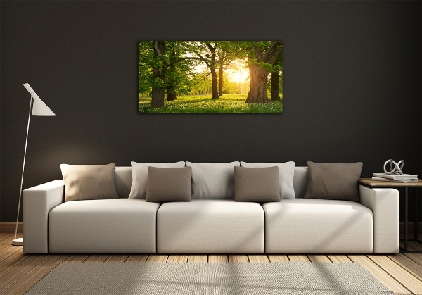 Bild auf glas Bäume im Park