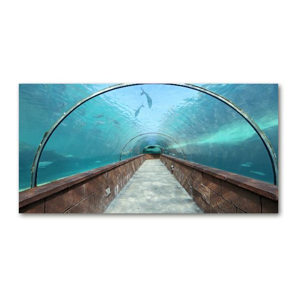 Foto glasbild Aquariumtunnel