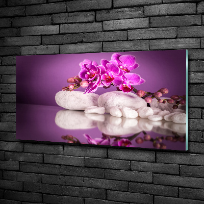 Foto glasbild Rosa Orchidee