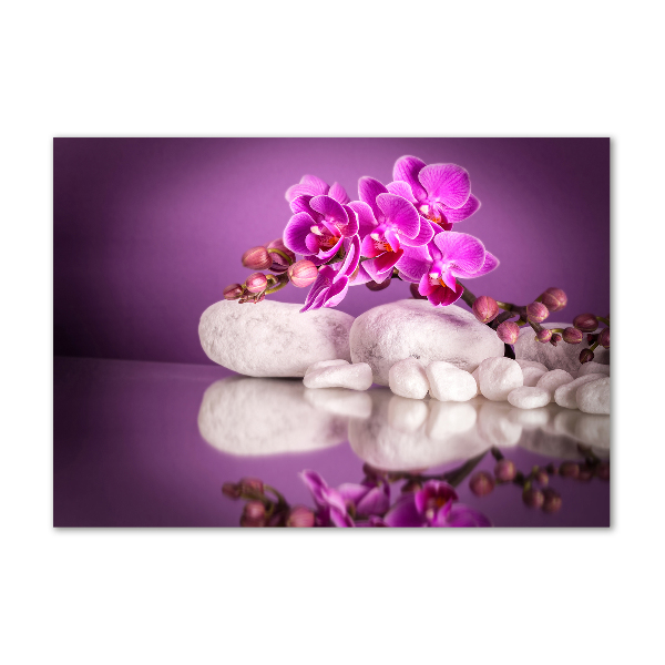 Foto glasbild Rosa Orchidee