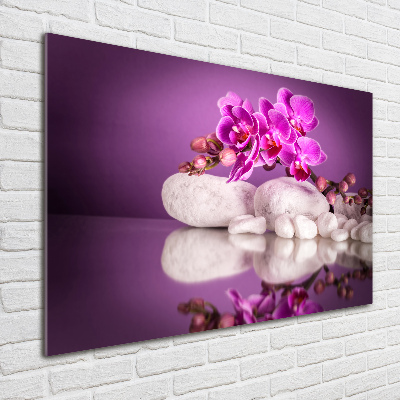 Foto glasbild Rosa Orchidee
