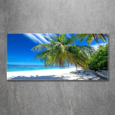 Bild auf glas Tropischer Strand