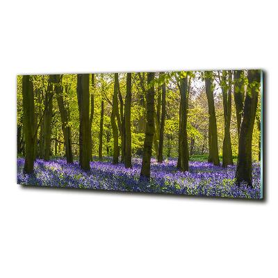 Foto glasbild Wald im Frühling