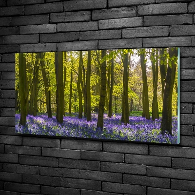 Foto glasbild Wald im Frühling