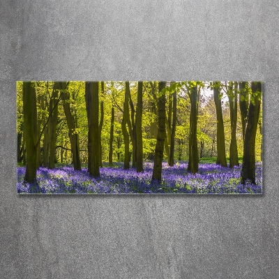 Foto glasbild Wald im Frühling