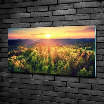 Glasbild Sonnenuntergang im Wald