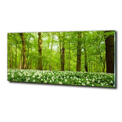 Foto glasbild Blumen im Wald