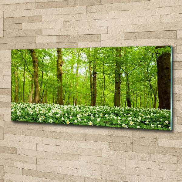 Foto glasbild Blumen im Wald